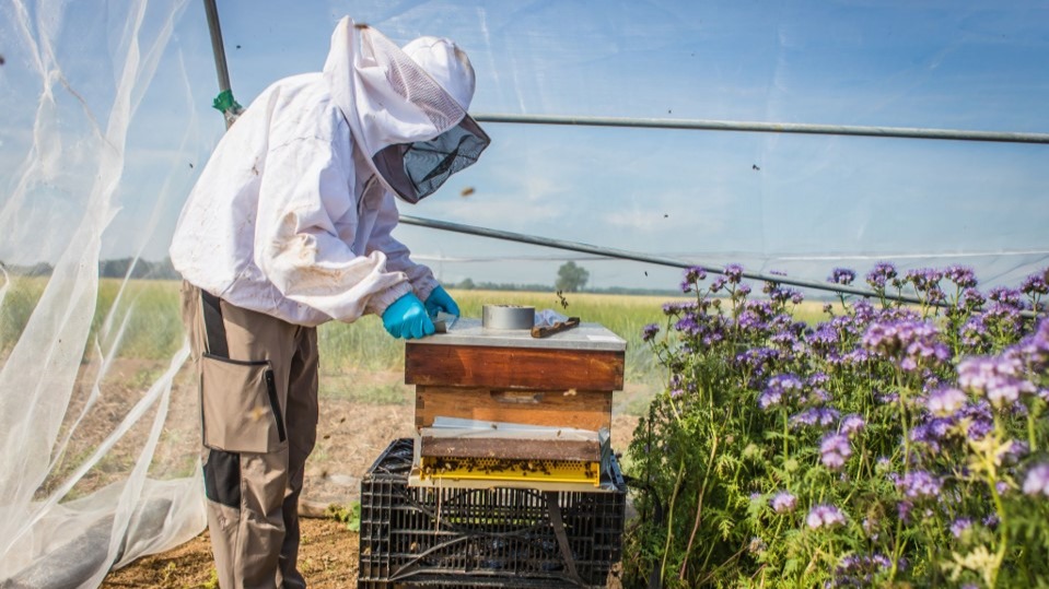 eurofins-agroscience-services_netherlands_03-1-_cropped_169